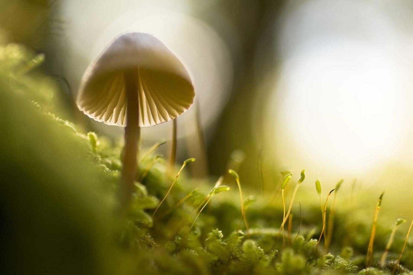 Possimus alias aliquid recusandae vero